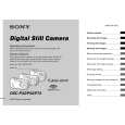 SONY DSC-P32 Manual de Usuario