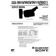 SONY CCDTRV119 Manual de Servicio